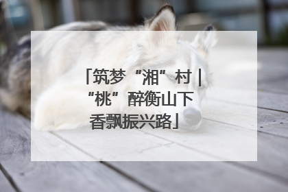 筑梦“湘”村｜“桃”醉衡山下 香飘振兴路