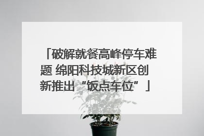 破解就餐高峰停车难题 绵阳科技城新区创新推出“饭点车位”