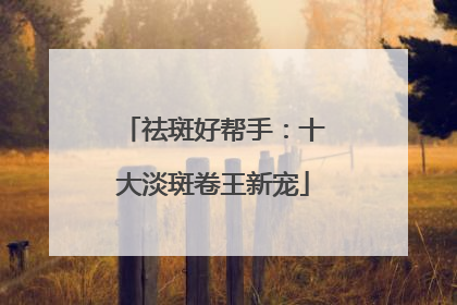 祛斑好帮手：十大淡斑卷王新宠