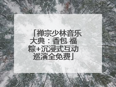 禅宗少林音乐大典：香包 福粽+沉浸式互动巡演全免费