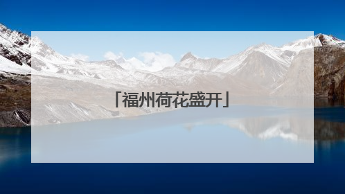 福州荷花盛开
