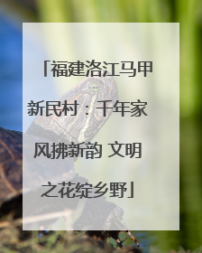 福建洛江马甲新民村：千年家风拂新韵 文明之花绽乡野