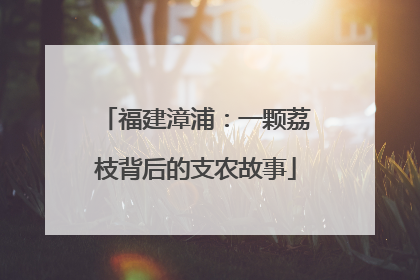 福建漳浦：一颗荔枝背后的支农故事