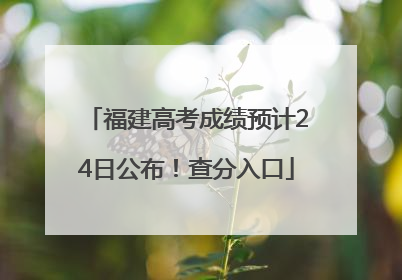 福建高考成绩预计24日公布！查分入口