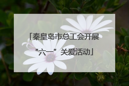 秦皇岛市总工会开展“六一”关爱活动