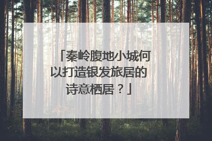 秦岭腹地小城何以打造银发旅居的诗意栖居？