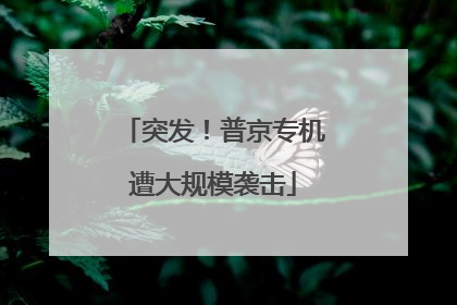 突发！普京专机遭大规模袭击