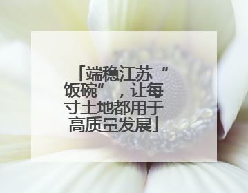 端稳江苏“饭碗”，让每寸土地都用于高质量发展