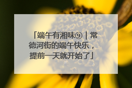 端午有湘味⑨｜常德河街的端午快乐，提前一天就开始了