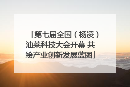 第七届全国（杨凌）油菜科技大会开幕 共绘产业创新发展蓝图