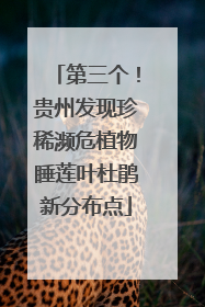 第三个！贵州发现珍稀濒危植物睡莲叶杜鹃新分布点