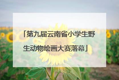 第九届云南省小学生野生动物绘画大赛落幕