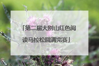 第二届大别山红色阅读马拉松圆满完赛