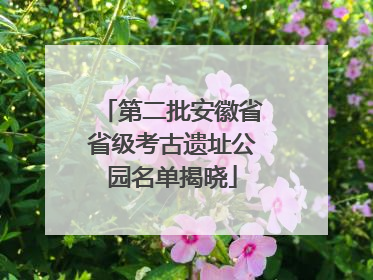 第二批安徽省省级考古遗址公园名单揭晓