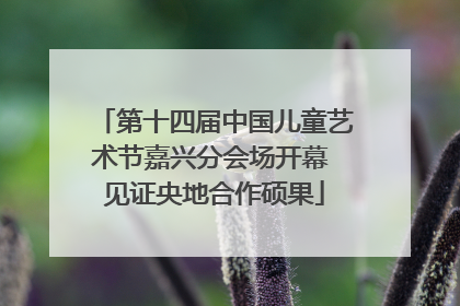 第十四届中国儿童艺术节嘉兴分会场开幕 见证央地合作硕果