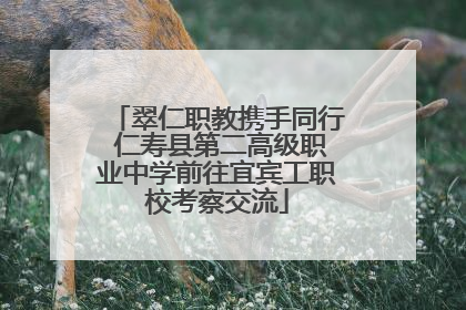 翠仁职教携手同行 仁寿县第二高级职业中学前往宜宾工职校考察交流