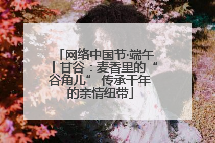 网络中国节·端午丨甘谷：麦香里的“谷角儿” 传承千年的亲情纽带