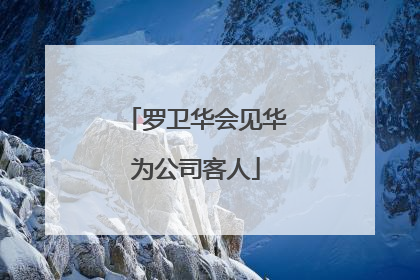 罗卫华会见华为公司客人