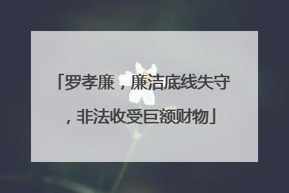 罗孝廉，廉洁底线失守，非法收受巨额财物