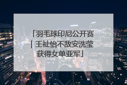 羽毛球印尼公开赛｜王祉怡不敌安洗莹 获得女单亚军