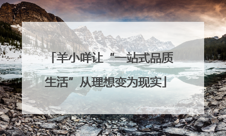羊小咩让“一站式品质生活”从理想变为现实