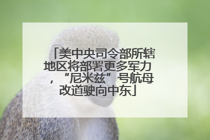 美中央司令部所辖地区将部署更多军力，“尼米兹”号航母改道驶向中东