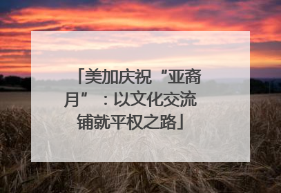 美加庆祝“亚裔月”：以文化交流铺就平权之路