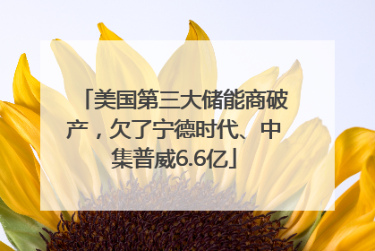 美国第三大储能商破产，欠了宁德时代、中集普威6.6亿