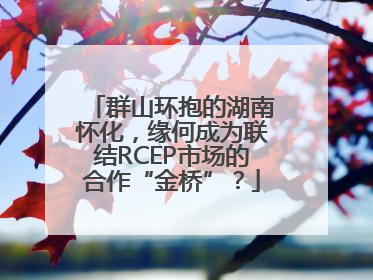 群山环抱的湖南怀化，缘何成为联结RCEP市场的合作“金桥”？