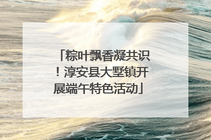 粽叶飘香凝共识！淳安县大墅镇开展端午特色活动