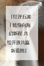 红评五溪丨转身向海启新程 共绘开放共赢新蓝图