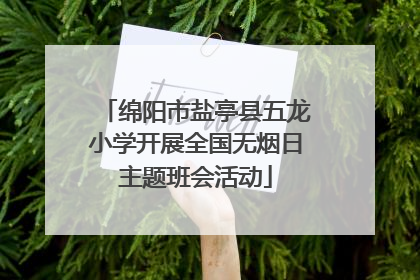 绵阳市盐亭县五龙小学开展全国无烟日主题班会活动