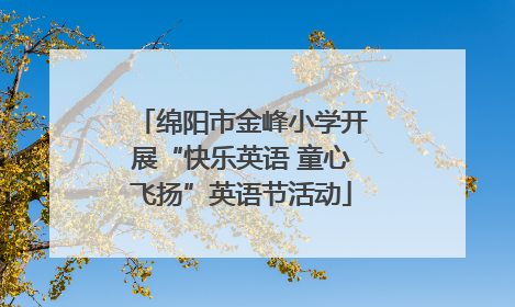 绵阳市金峰小学开展“快乐英语 童心飞扬”英语节活动