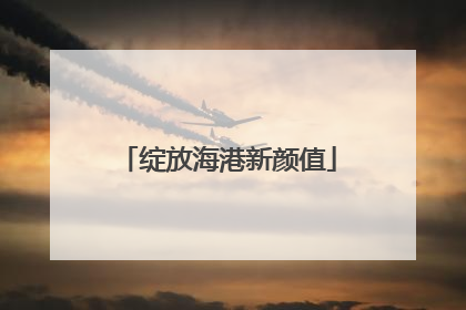 绽放海港新颜值