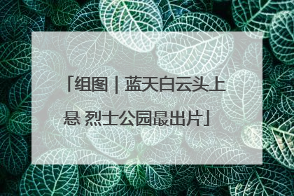 组图｜蓝天白云头上悬 烈士公园最出片