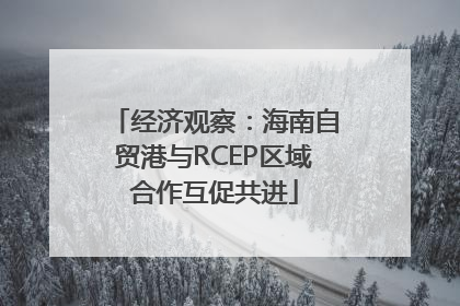 经济观察：海南自贸港与RCEP区域合作互促共进