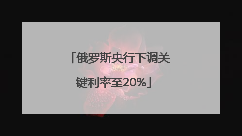 俄罗斯央行下调关键利率至20%