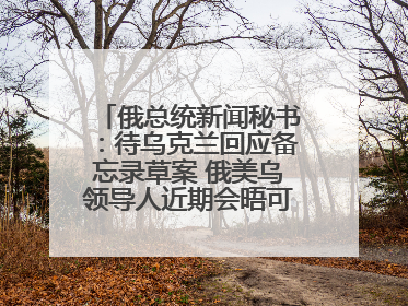 俄总统新闻秘书：待乌克兰回应备忘录草案 俄美乌领导人近期会晤可能性小