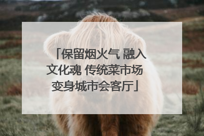 保留烟火气 融入文化魂 传统菜市场变身城市会客厅