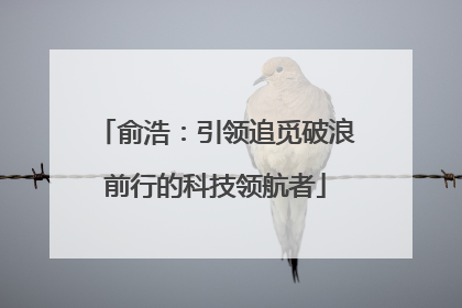 俞浩：引领追觅破浪前行的科技领航者