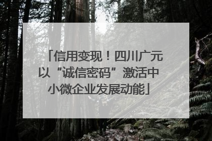 信用变现！四川广元以“诚信密码”激活中小微企业发展动能