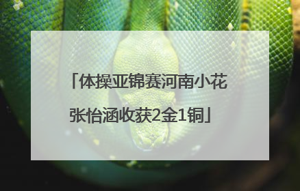 体操亚锦赛河南小花张怡涵收获2金1铜