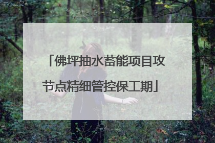 佛坪抽水蓄能项目攻节点精细管控保工期