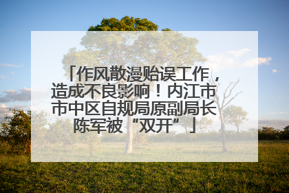 作风散漫贻误工作，造成不良影响！内江市市中区自规局原副局长陈军被“双开”