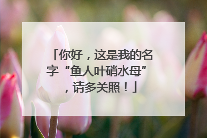 你好，这是我的名字“鱼人叶硝水母”，请多关照！