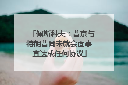 佩斯科夫：普京与特朗普尚未就会面事宜达成任何协议