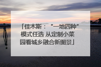 佳木斯：“一地四种” 模式任选 从定制小菜园看城乡融合新图景