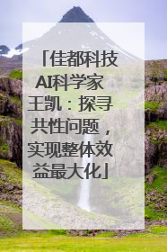 佳都科技AI科学家王凯：探寻共性问题，实现整体效益最大化