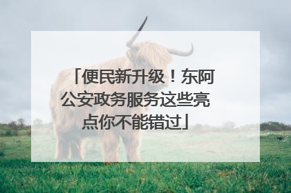 便民新升级！东阿公安政务服务这些亮点你不能错过