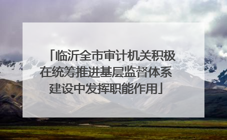 临沂全市审计机关积极在统筹推进基层监督体系建设中发挥职能作用